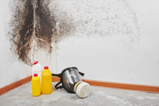 Best Water Damage Restoration  in Venersborg, WA