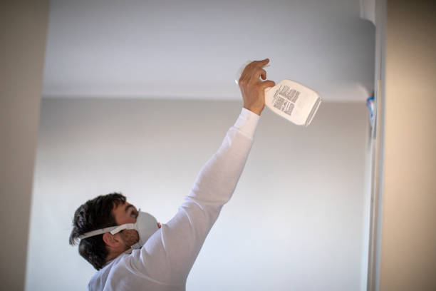 Best Mold Removal Company Near Me  in Venersborg, WA