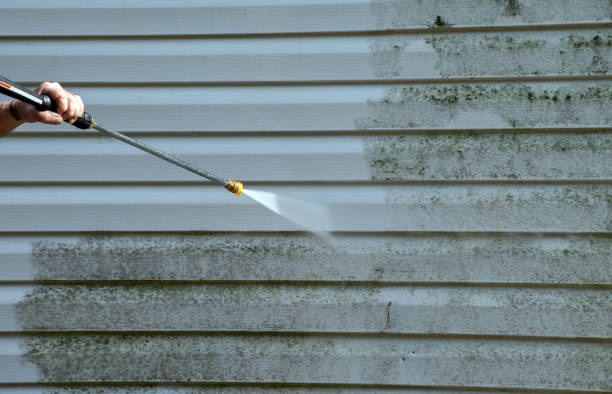Best Mold Damage Repair  in Venersborg, WA