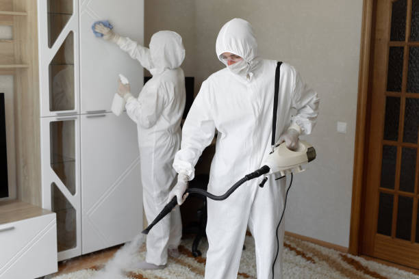 Best Residential Mold Removal  in Venersborg, WA